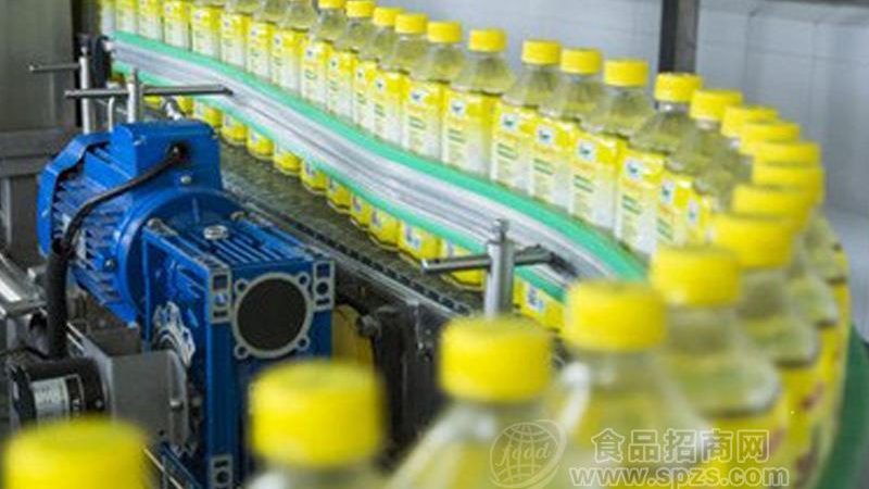 肉类加工机械安装流程：关键步骤与注意事项