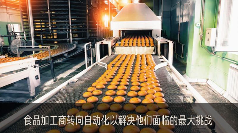 大型炒货机尺寸选不对，产能和品质全白费